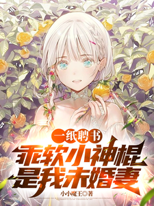 一纸聘书：乖软小神棍是我未婚妻