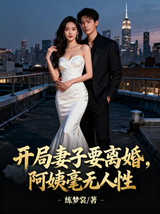 开局妻子要离婚，阿姨壕无人性